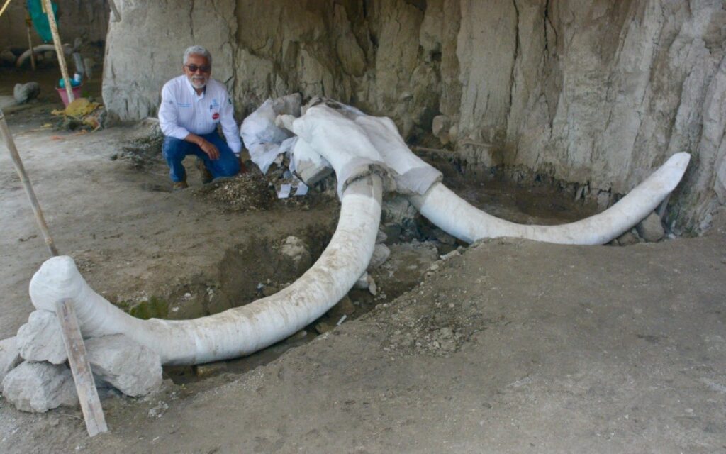 "El INAH pierde a uno de sus mejores cuadros": murió Pedro Francisco Sánchez