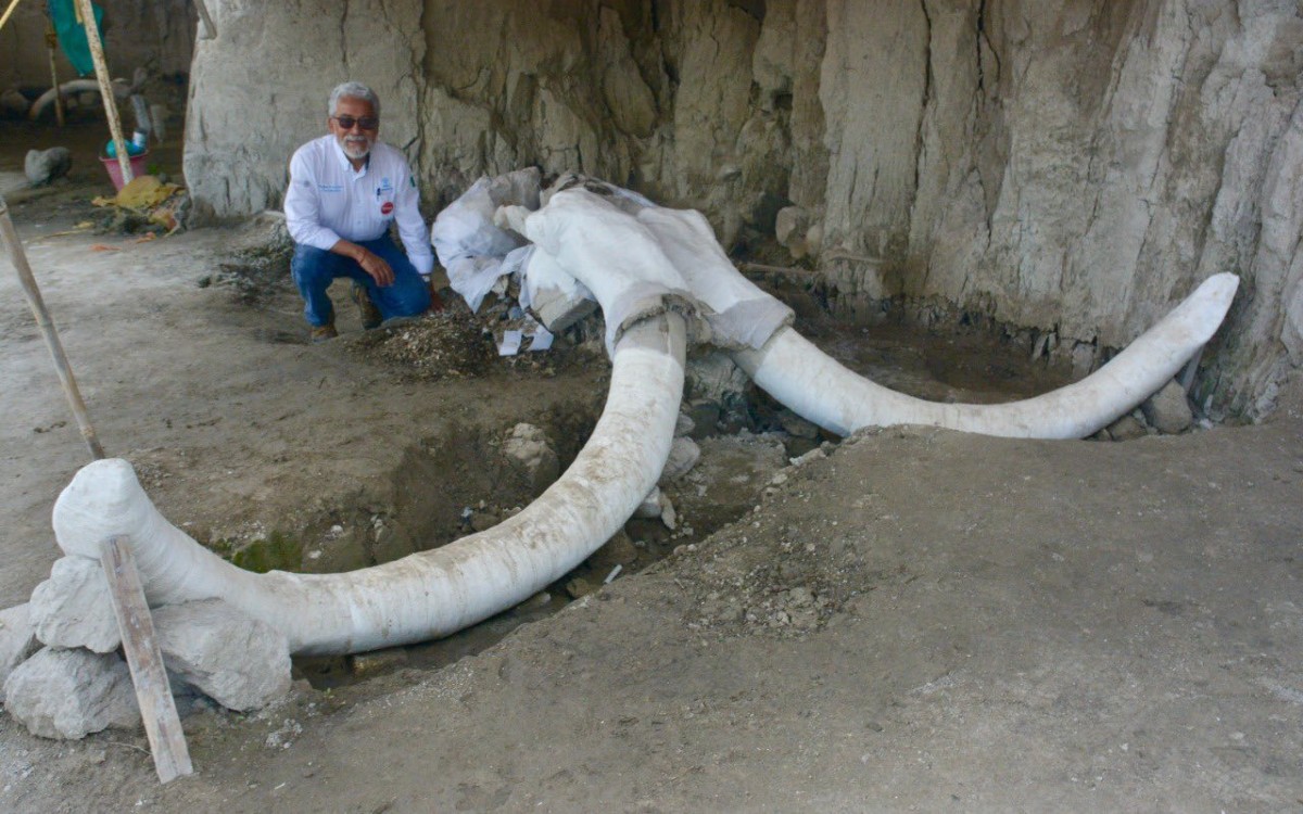 “El INAH pierde a uno de sus mejores cuadros”: murió Pedro Francisco Sánchez