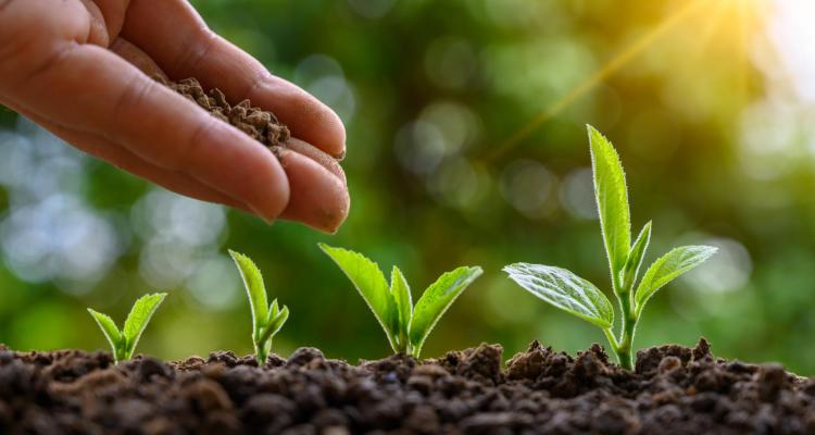 El inversionista semilla Gree Ventures realiza el primer cierre del nuevo fondo de $ 130 millones, y cambia su marca a Strive