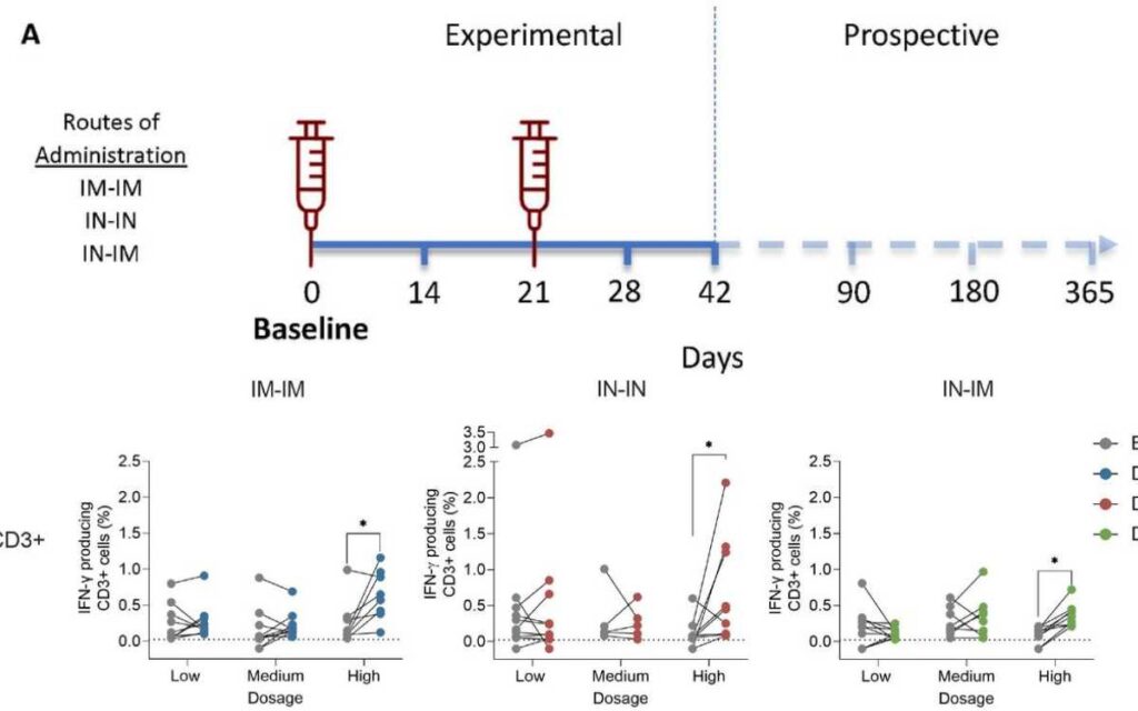 Ensayo fase I: vacuna Patria es segura, falta conocer efectividad frente a variantes
