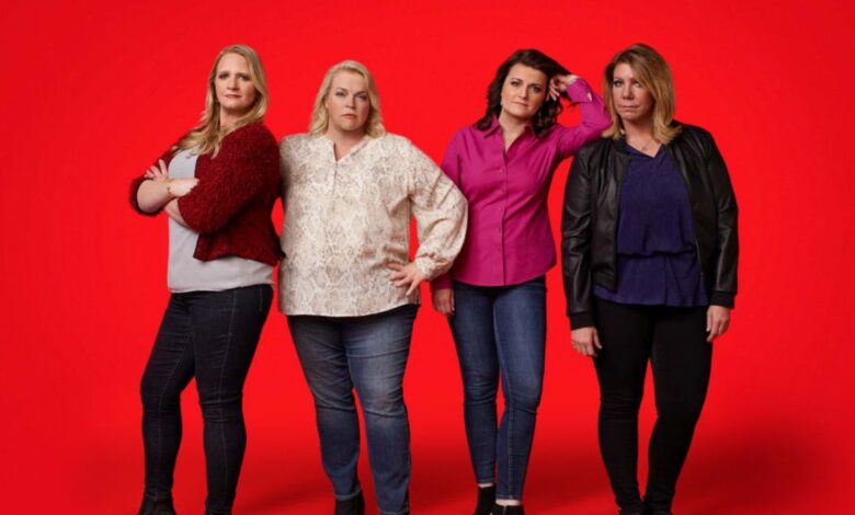 Esposas hermanas: lo que sabemos sobre los embarazos de las esposas a través de los años