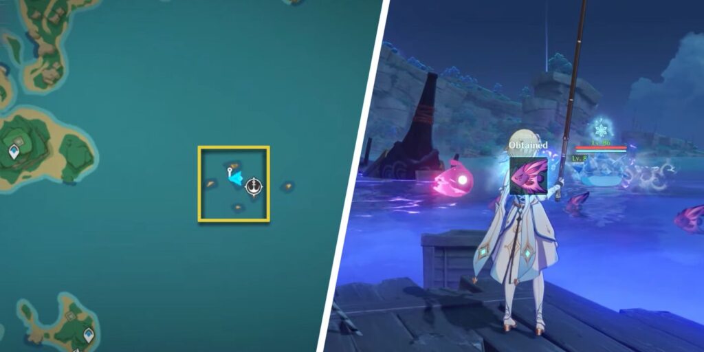 Genshin Impact: Cómo atrapar el pez ángel Raimei (Guía de ubicación)