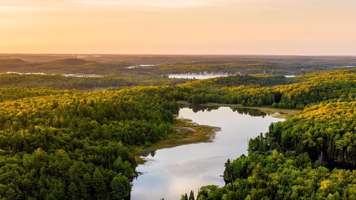 Gestos sencillos para reducir la emisión de gases de efecto invernadero