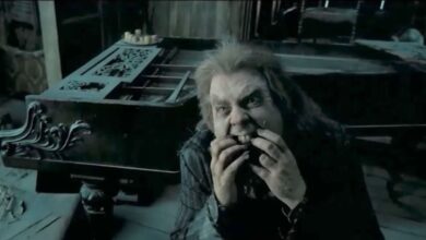 Harry Potter: ¿Por qué a Timothy Spall le encantaba la gran escena de revelación de Scabbers?