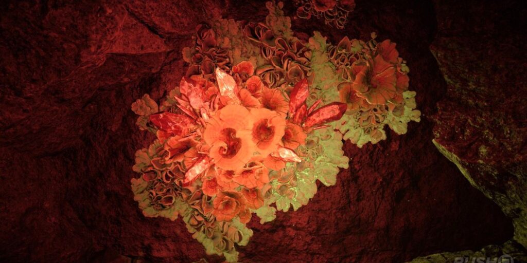 Horizon Forbidden West: Cómo destruir cristales rojos