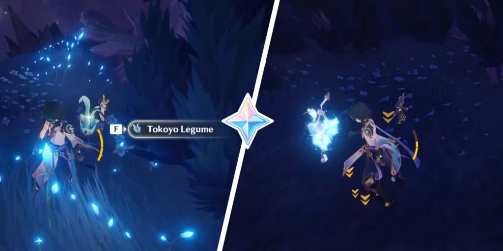 Impacto de Genshin: dónde conseguir legumbres de Tokoyo