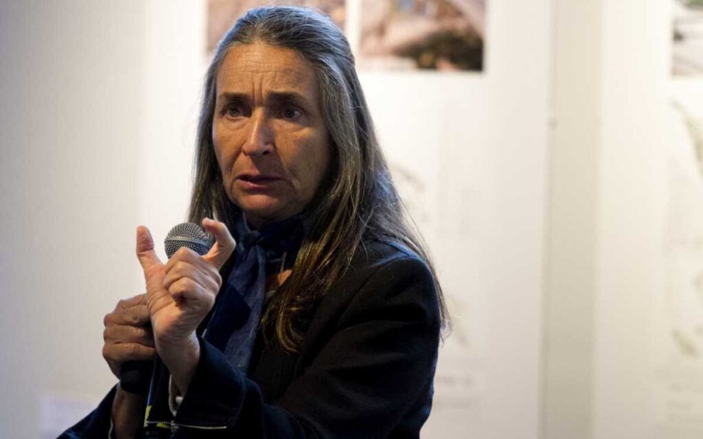 'Injustificada y frecuente difamación' de AMLO a los ambientalistas: Julia Carabias