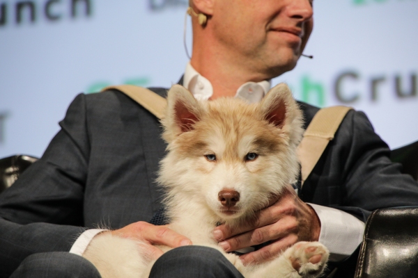 La aplicación para pasear perros Wag puede estar recaudando una gran ronda de financiación