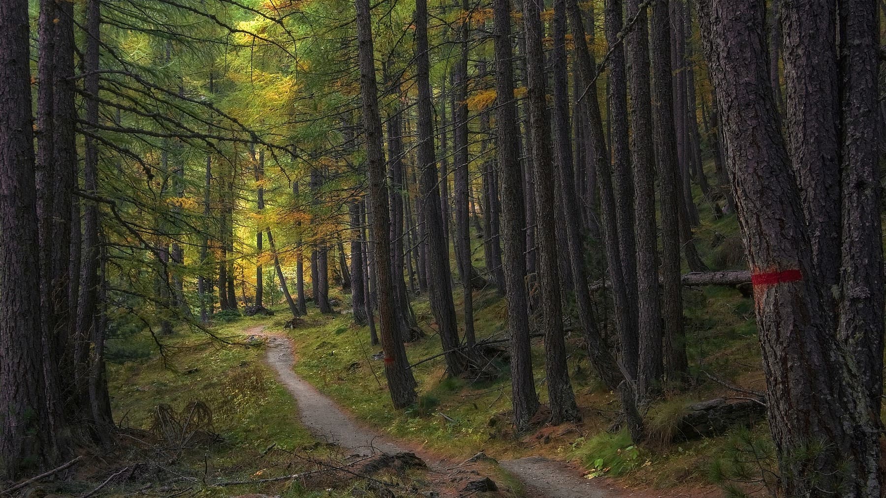 La impresionante ruta más ‘instagrameable’ que no pensarás que está en España