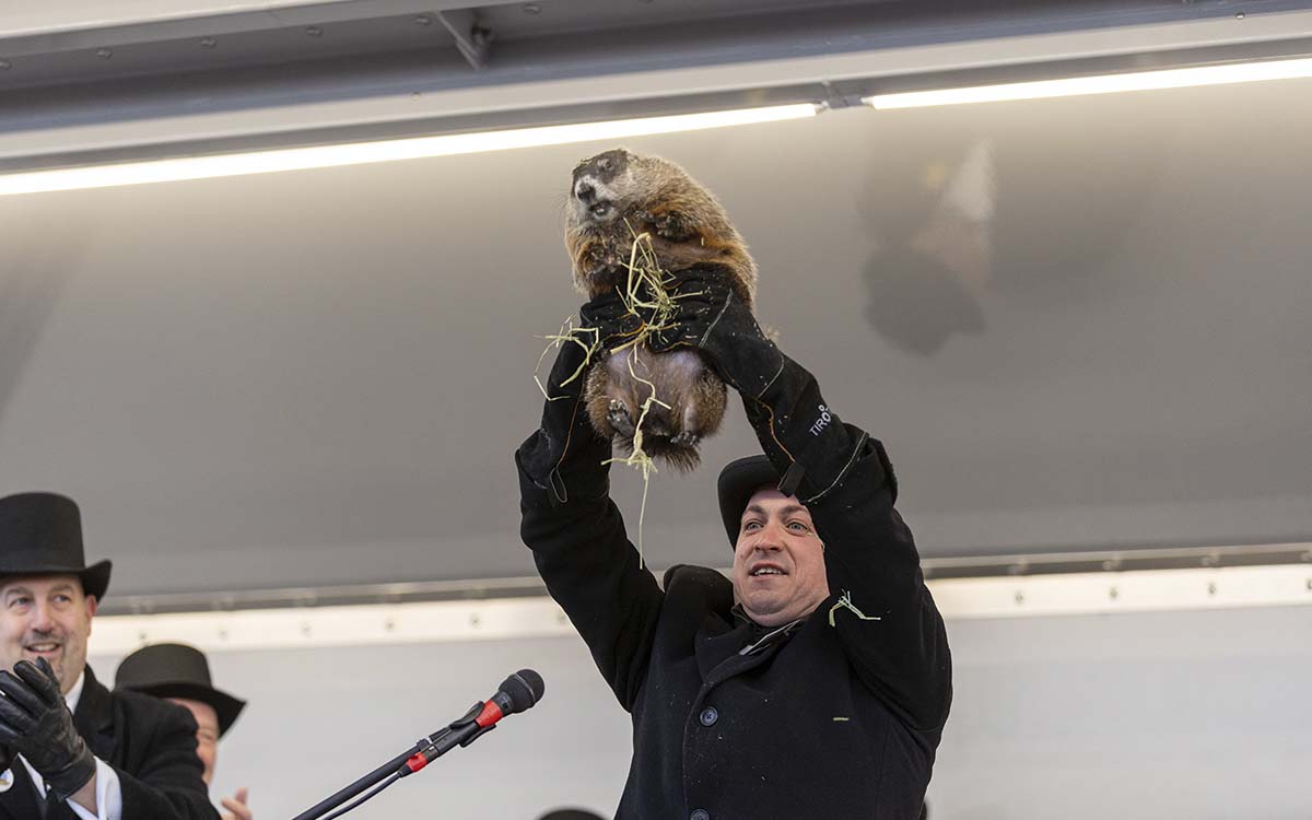 La marmota Milltown Mel muere justo antes del Día de la Marmota | Video