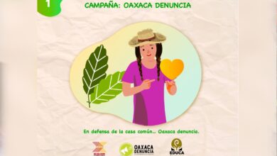 Lanzan campaña 'Oaxaca Denuncia' para mostrar violencia contra defensores comunitarios y ambientalistas