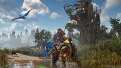 Las trampas verticales de Horizon Forbidden West hacen que el combate sea aún mejor
