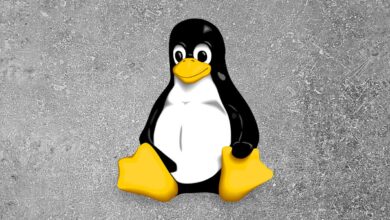 Linux supera a Apple, Microsoft y Google en parches de seguridad