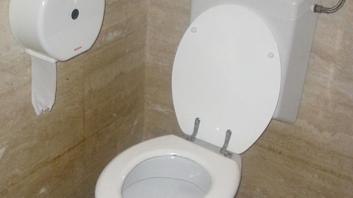 Los inodoros, los principales “culpables” de la propagación del Covid-19