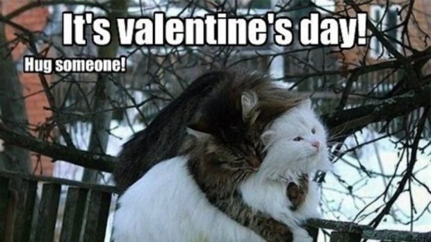 mejores memes san valentin 2019