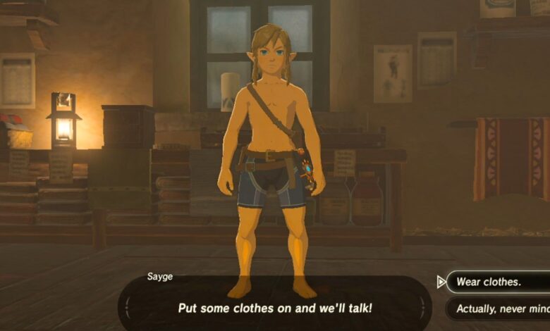 Los santuarios de Breath of the Wild son aparentemente más fáciles si Link está desnudo