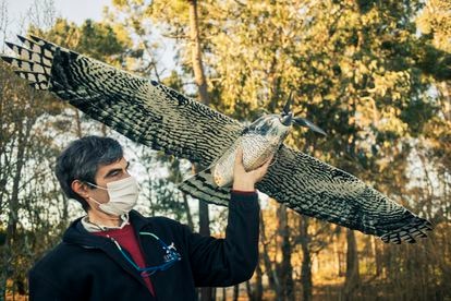 José Luis Rouco, técnico de la empresa adjudicataria de los contratos de la Guardia Civil y Vigilancia Aduanera, muestra el prototipo de un dron con aspecto de ave.