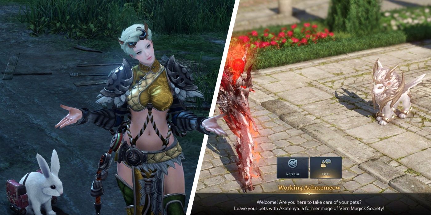 Lost Ark: Cómo conseguir mascotas gratis