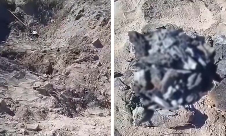 Madres Buscadoras de Sonora hallan crematorio clandestino; encuentran restos humanos calcinados