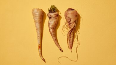 Misfits Market recauda $ 16.5 millones para su caja de suscripción de productos 'feos'