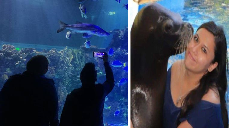 Misteriosa muerte de una mujer buzo en el acuario Inbursa