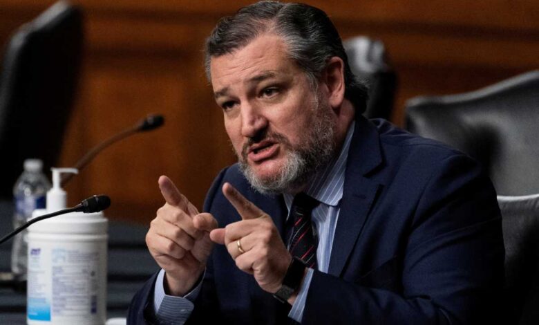 Moctezuma Barragán responde a Ted Cruz