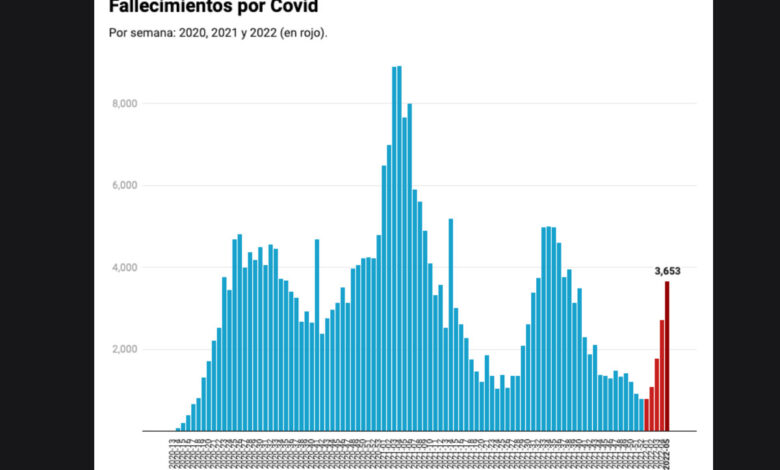 Muertes por Covid suman 5 semanas al alza… contagios ceden
