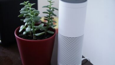 Oops! Don’t say ‘Google’ in your Alexa voice app, Amazon said