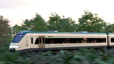 Organización ambiental reúne firmas contra nuevo trazo del Tren Maya