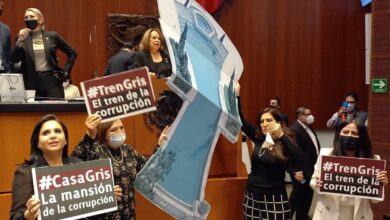 Panistas llevan 'casa' en Houston y hasta 'alberca' a la tribuna del Senado para exigir que se debata el tema | Video