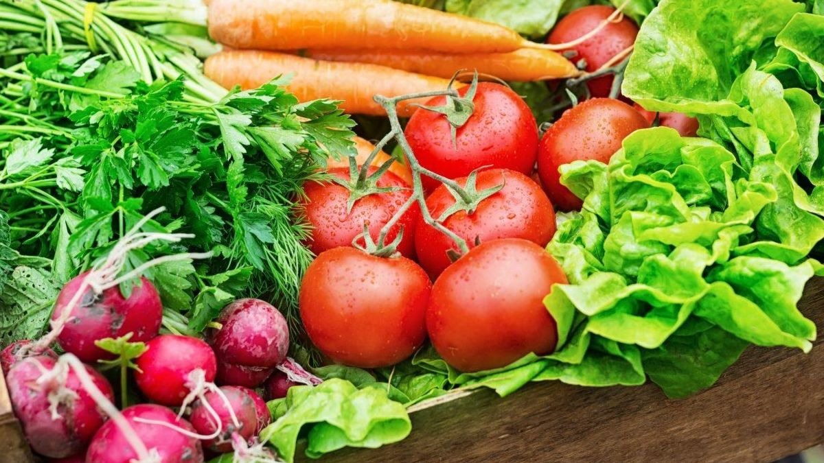 París inaugurará en 2022 el huerto urbano más grande de Europa