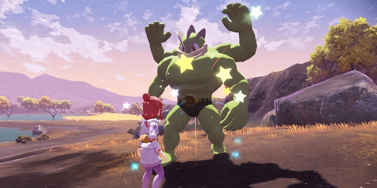 Pokémon Legends: Arceus Chart simplifica la caza brillante