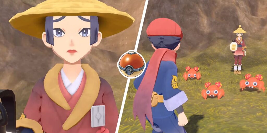 Pokémon Legends: Arceus - Gone Astray... In The Fieldlands Tutorial