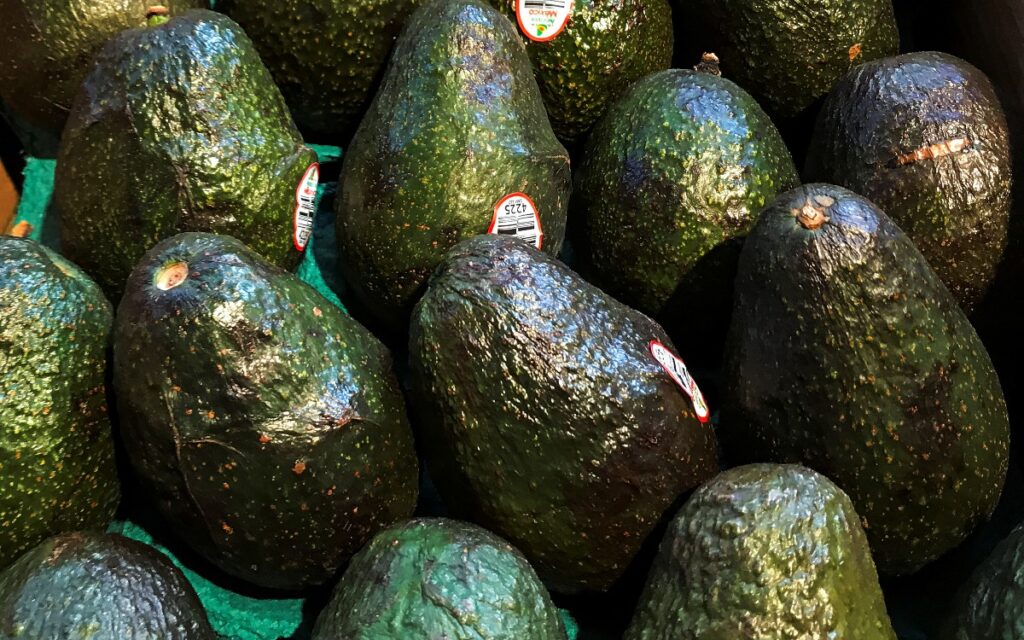 Reanuda EU importación de aguacate mexicano