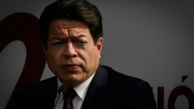 Reforma eléctrica busca reivindicar papel del Estado: Delgado