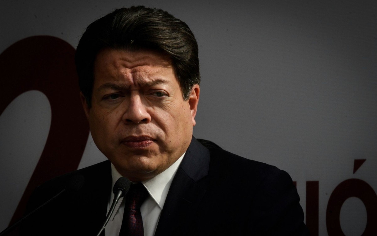 Reforma eléctrica busca reivindicar papel del Estado: Delgado