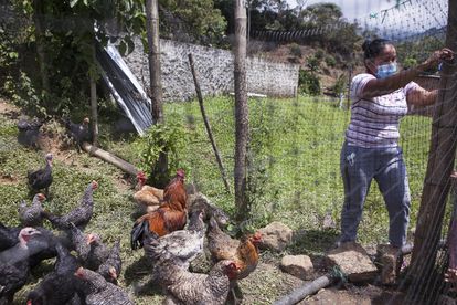Andri Zuleny Pegui en los terrenos del NAR de Mandivá, en el norte del Cauca. Ella es presidenta de la cooperativa formada por excombatientes Comamce y ha decidido irse con sus compañeros tras ser amenazada. Pincha en la imagen para ver la fotogalería completa.