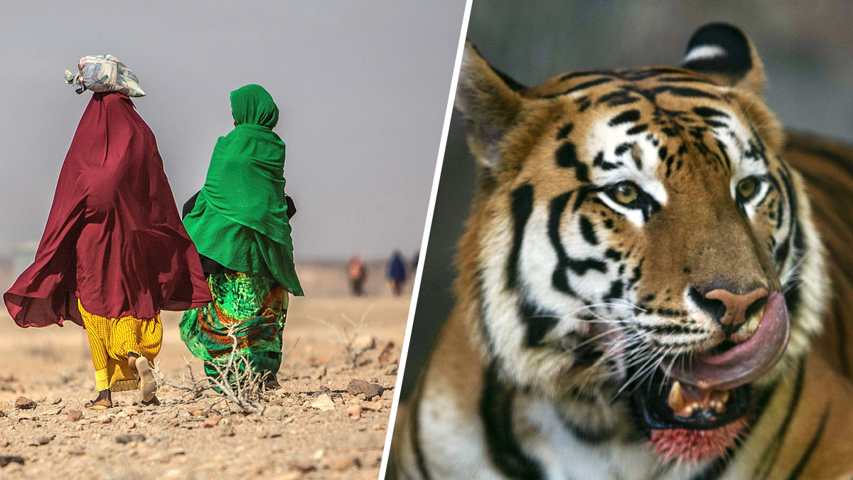 Reporte de la ONU detalla sombrío futuro si no se toman medidas contra el cambio climático