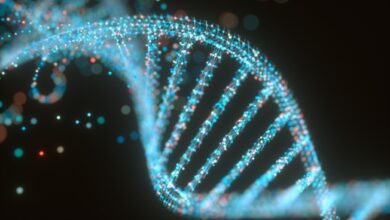 Senti Bio recauda $105 millones para su nueva plataforma de biología programable y terapias contra el cáncer
