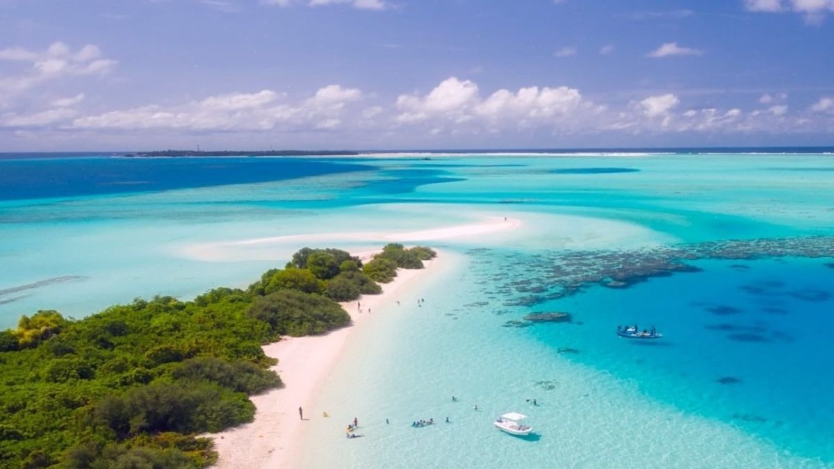 Si estás buscando trabajo, necesitan un librero en un resort de Maldivas