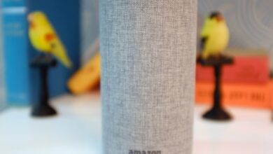 Storyline lets you build and publish Alexa skills without coding