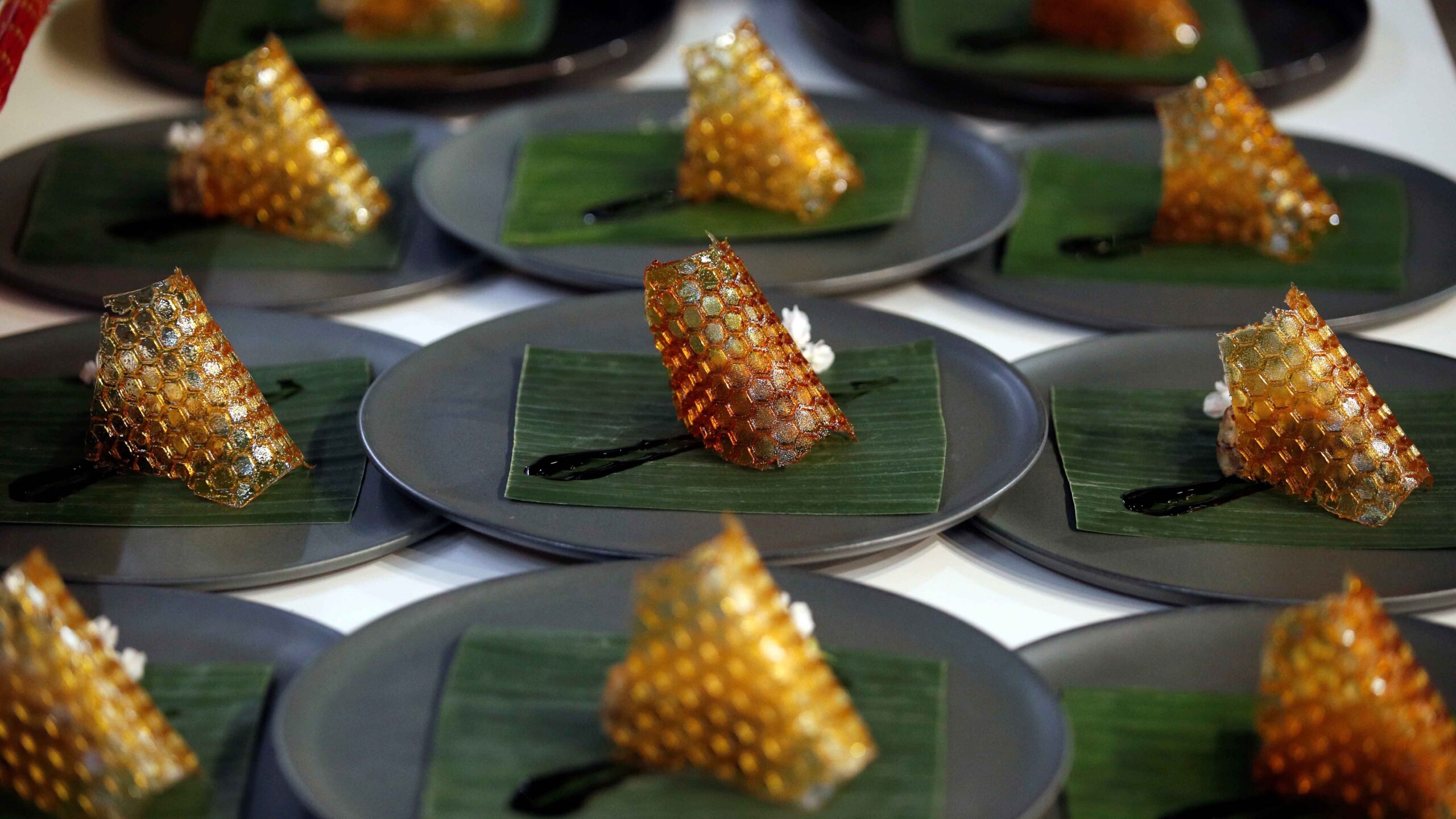 Video: helado de escarabajo y otros platillos hechos con carne de insecto