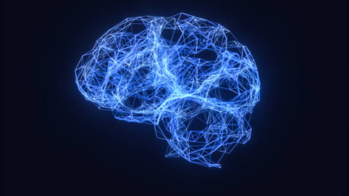 ¿Dónde reside nuestra conciencia? Nuevo estudio encuentra respuesta