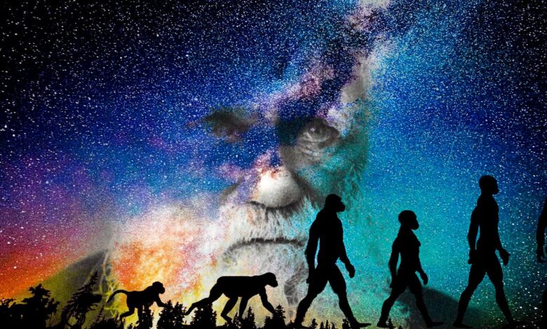 ¿Qué es la teoría de la evolución de Darwin?