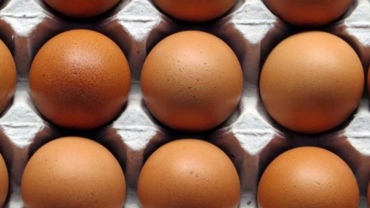 ¿Qué es la vitamina D?