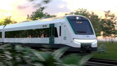 ¿Y el estudio ambiental sobre Tren Maya? INAI ordena a Fonatur dar a conocerlo 