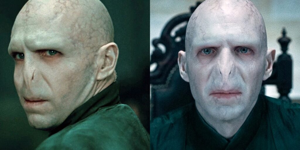 10 citas de Harry Potter que prueban que Voldemort fue malinterpretado