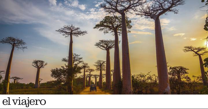 Madagascar, una isla como de otro planeta