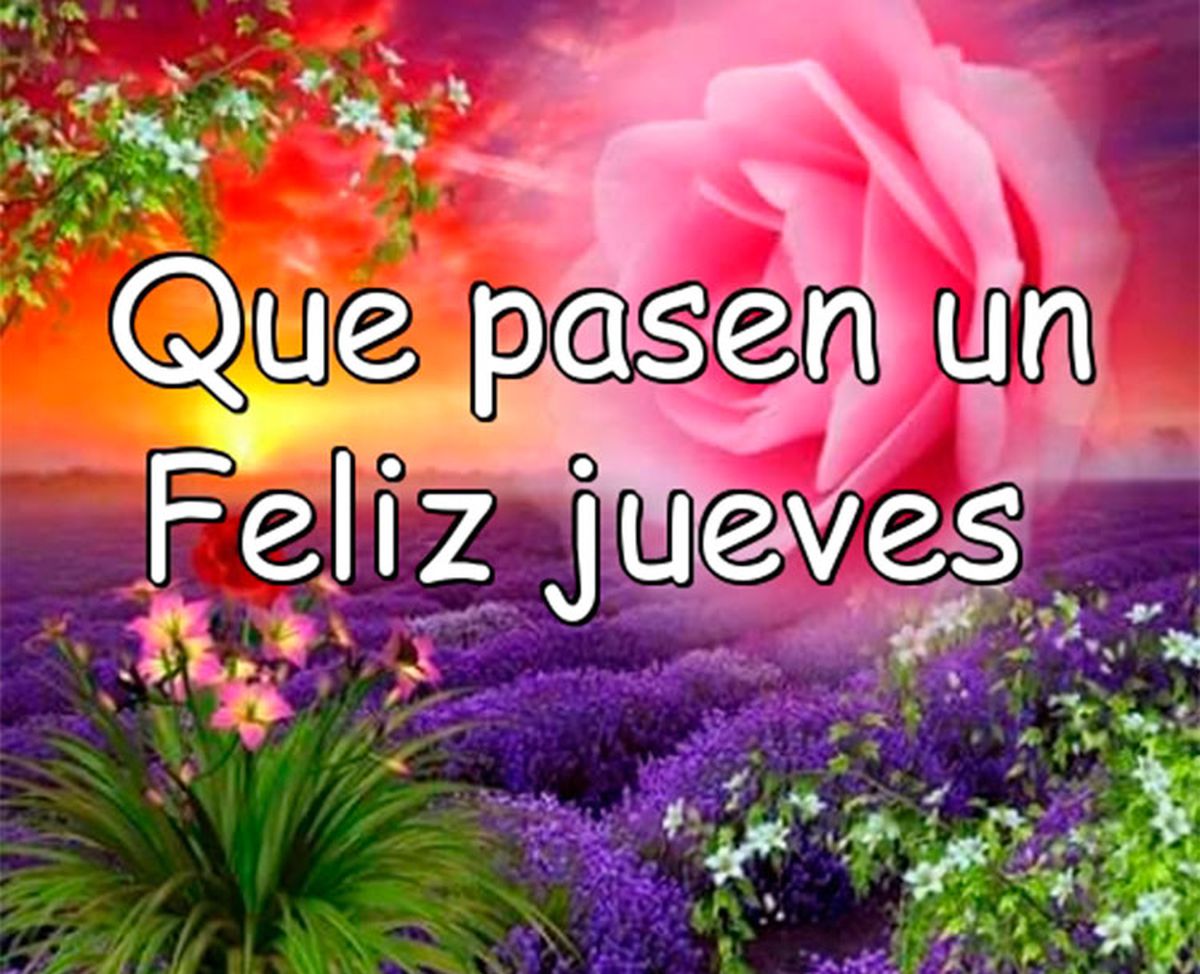 Quién tuitea “¡Feliz jueves!” en plena guerra