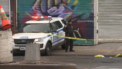Surgen nuevos detalles en el caso espeluznante del torso de una mujer hallado en un carrito de compras en una calle de Brooklyn